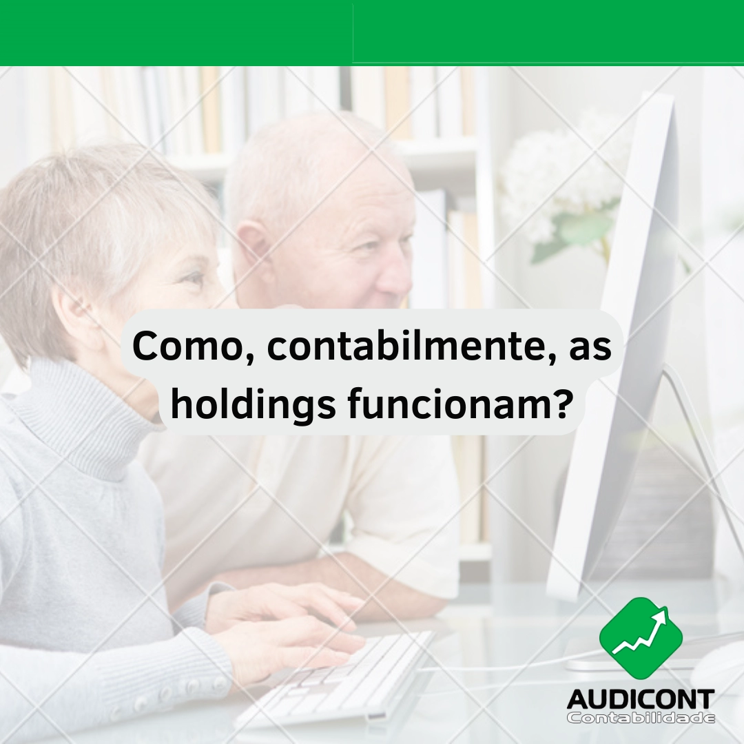 Como, contabilmente, as holdings funcionam?